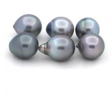 Lot de 6 Perles de Tahiti Semi-Baroques B de 11.1  11.4 mm