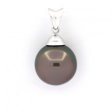 Pendentif en Argent et 1 Perle de Tahiti Semi-Ronde C 11.7 mm