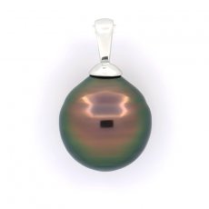 Pendentif en Argent et 1 Perle de Tahiti Cercle B 10.8 mm