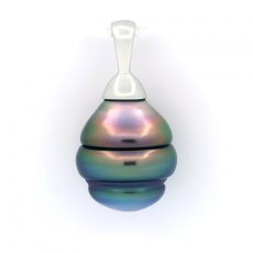 Pendentif en Argent et 1 Perle de Tahiti Cercle B+ 10.6 mm