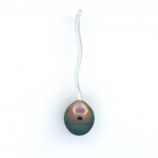 Pendentif en Argent et 1 Perle de Tahiti Cercle B 9.2 mm