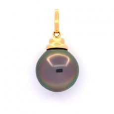 Pendentif en Or 18K et 1 Perle de Tahiti Semi-Baroque B 11.7 mm