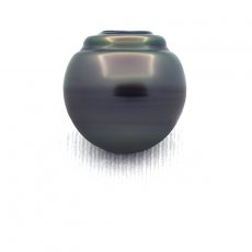 Superbe perle de Tahiti Cercle C 14.3 mm