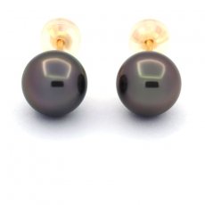 Boucles d'Oreilles en Or 18K et 2 Perles de Tahiti Rondes B 8.2 mm