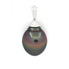 Pendentif en Argent et 1 Perle de Tahiti Cercle B 13.4 mm