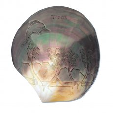 Nacre de Tahiti Grave - 13.8 x 12.8 cm