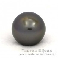 Superbe perle de Tahiti Ronde C 14.6 mm