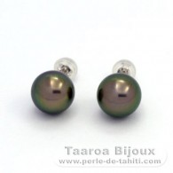 Boucles d'oreilles en Or blanc 18K et 2 Perles de Tahiti Rondes B 9.5 mm