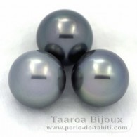 Lot de 3 Perles de Tahiti Rondes C de 13  13.1 mm
