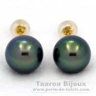 Boucles d'oreilles en Or 18K et 2 Perles de Tahiti Rondes C+ 9.9 mm