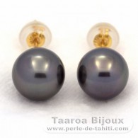 Boucles d'oreilles en Or 18K et 2 Perles de Tahiti Rondes B 8.2 mm