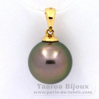 Pendentif en Or 18K et 1 Perle de Tahiti Ronde B 11.5 mm