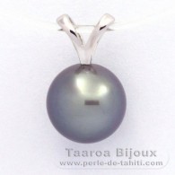 Pendentif en Or blanc 18K et 1 Perle de Tahiti Ronde B 9.3 mm