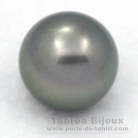 Superbe perle de Tahiti Ronde C 13 mm