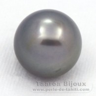 Superbe perle de Tahiti Ronde C 14.3 mm