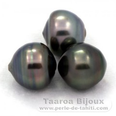 Lot de 3 Perles de Tahiti Cercles C de 12  12.3 mm