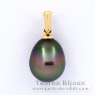 Pendentif en Or 18K et 1 Perle de Tahiti Semi-Baroque B 9.7 mm