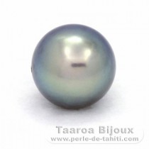 Superbe perle de Tahiti Ronde C+ 11.3 mm