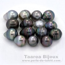 Lot de 15 Perles de Tahiti Cerclées C de 8 à 9.9 mm
