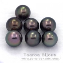 Lot de 7 Perles de Tahiti Rondes C de 8 à 8.3 mm