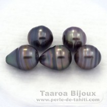 Lot de 5 Perles de Tahiti Cercles C de 9.6  9.8 mm