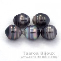 Lot de 5 Perles de Tahiti Cerclées C de 9.5 à 10 mm