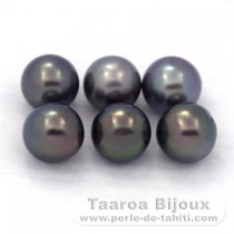 Lot de 6 Perles de Tahiti Rondes C de 8.5 à 8.8 mm