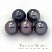 Lot de 5 Perles de Tahiti Rondes D de 8 à 8.4 mm