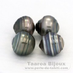 Lot de 4 Perles de Tahiti Cercles C de 9.5  9.6 mm