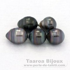 Lot de 5 Perles de Tahiti Cercles C/D de 9.4  9.6 mm