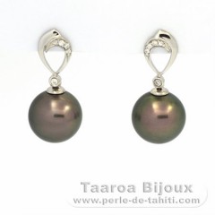 Boucles d'Oreilles en Argent et 2 Perles de Tahiti Rondes C 11 mm