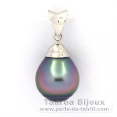 Pendentif en Argent et 1 Perle de Tahiti Cercle B 9.6 mm