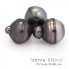 Lot de 3 Perles de Tahiti Cercles C de 13  13.4 mm