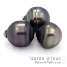 Lot de 3 Perles de Tahiti Cercles C de 12.6  12.9 mm