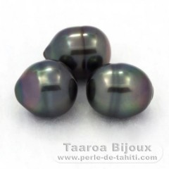 Lot de 3 Perles de Tahiti Cercles B de 9.2  9.7 mm