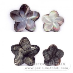 4 Formes en nacre de Tahiti - Diamtre de 30  40 mm