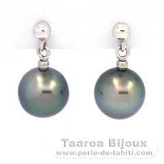 Boucles d'Oreilles en Or blanc 18K et 2 Perles de Tahiti Semi-Rondes B 8.4 mm