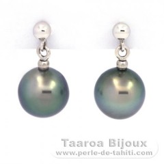 Boucles d'Oreilles en Or blanc 18K et 2 Perles de Tahiti Semi-Rondes B 8.4 mm