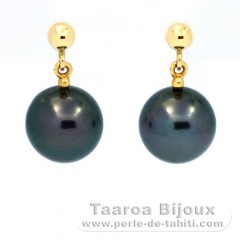 Boucles d'Oreilles en Or 18K et 2 Perles de Tahiti Rondes B 8.2 mm