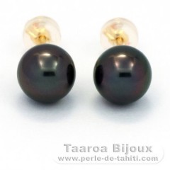 Boucles d'Oreilles en Or 18K et 2 Perles de Tahiti Rondes C 8.1 mm