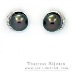 Boucles d'Oreilles en Argent et 2 Perles de Tahiti Semi-Rondes 1 B & 1 C 8.4 mm