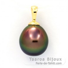 Pendentif en Or 18K et 1 Perle de Tahiti Semi-Baroque B 10 mm