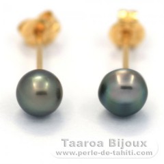 Boucles d'Oreilles en Or 18K et 2 Keishis de Tahiti