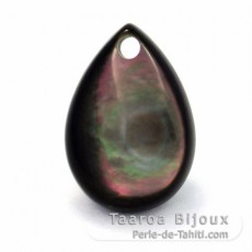 Forme goutte en nacre de Tahiti - 13 x 9 mm