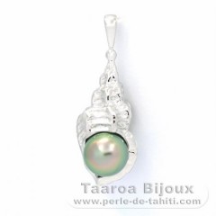 Pendentif en Argent et 1 Perle de Tahiti Semi-Ronde C 8.2 mm