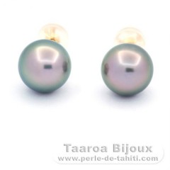 Boucles d'Oreilles en Or 18K et 2 Perles de Tahiti Rondes B 8.8 mm