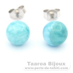 Boucles d'oreilles en Argent et 2 Larimars - 8.2 mm - 1.7 gr