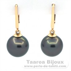 Boucles d'Oreilles en Or 14K et 2 Perles de Tahiti Rondes B 9.9 mm