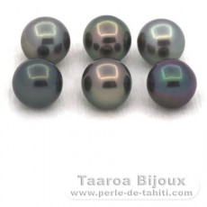 Lot de 6 Perles de Tahiti Rondes et Semi-Rondes C de 8.5  8.6 mm