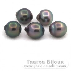 Lot de 5 Perles de Tahiti Semi-Baroques B de 9.5 à 9.6 mm